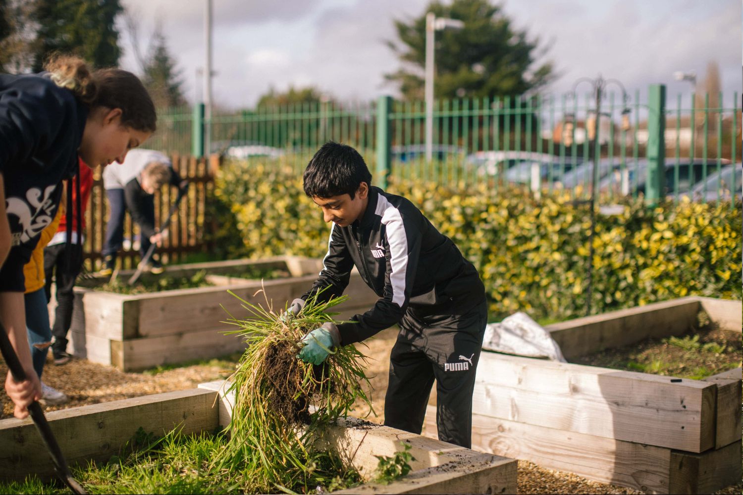 A young boy in a black track suit is holding green grass in his hands as he works with an adult on a raised planting bed.