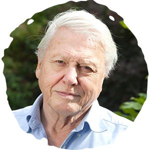 sir_david_attenborough