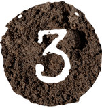 3-mud