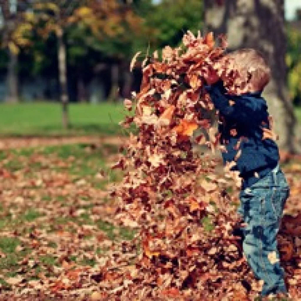 Changing the mindset on outdoor learning experiences