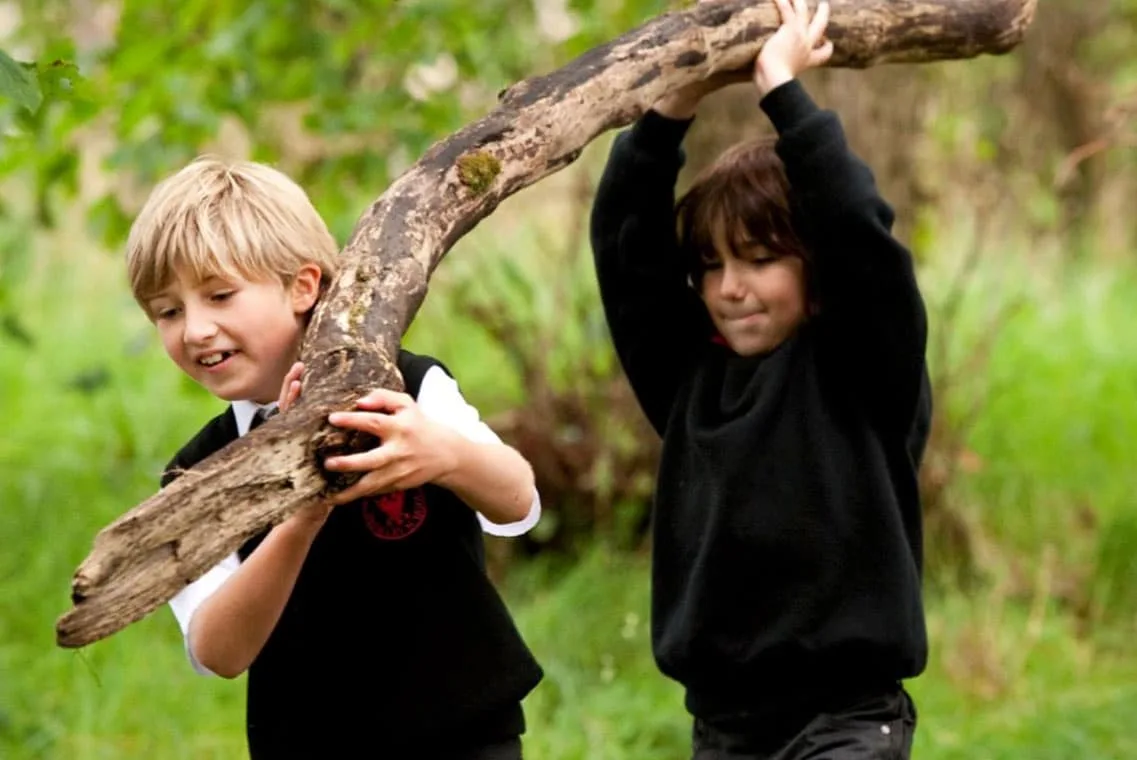 Lanark Primary Woodland play