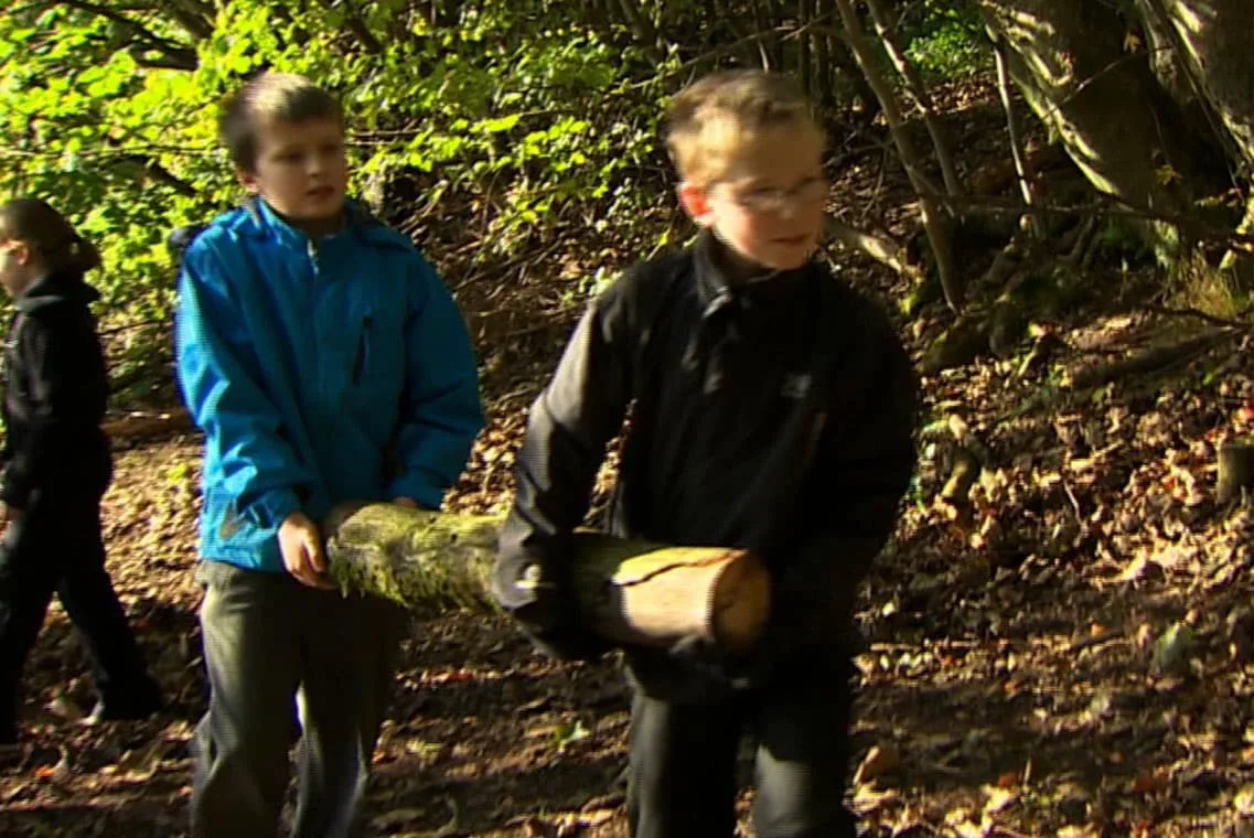 Woodland play in St Ronan’s Primary
