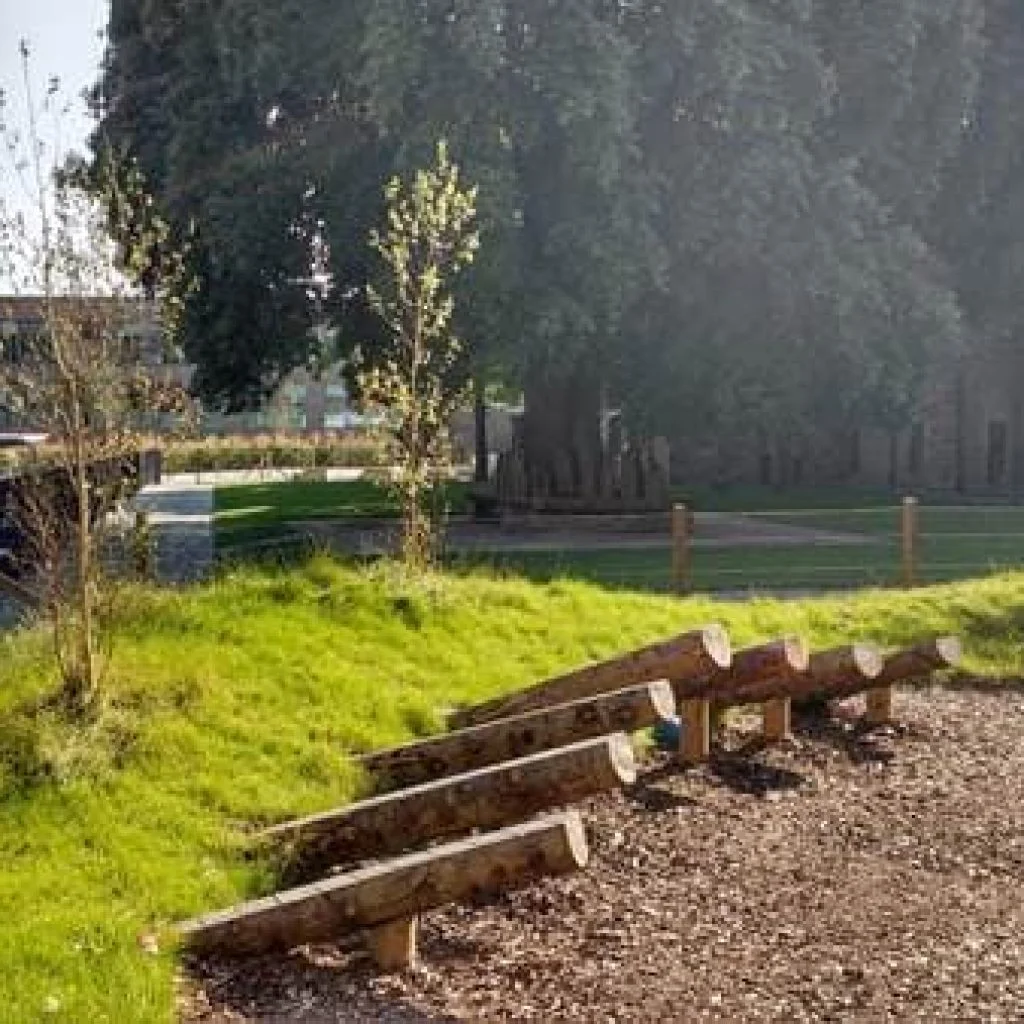 Sunny school grounds with trees, grassy banks, and log play areas.