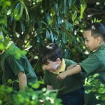 Children exploring the undergrowth on Outdoor Classroom Day.