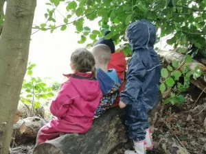 Health and Wellbeing - outdoor lesson idea forest-bathing