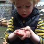 froebel-outdoor-play-and-learning