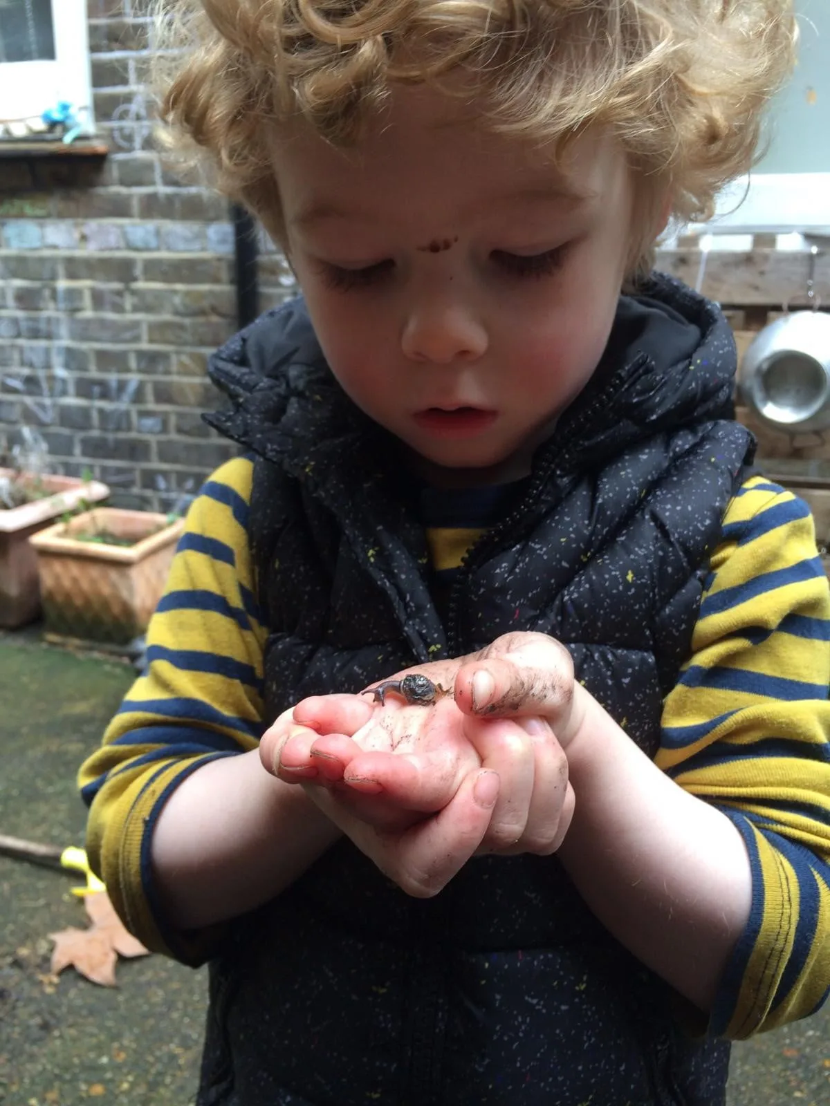 About Friedrich Froebel, who invented “kindergarten”