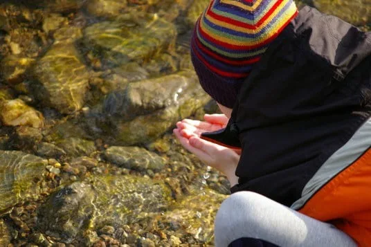 International School Grounds Alliance Conference – Postponement