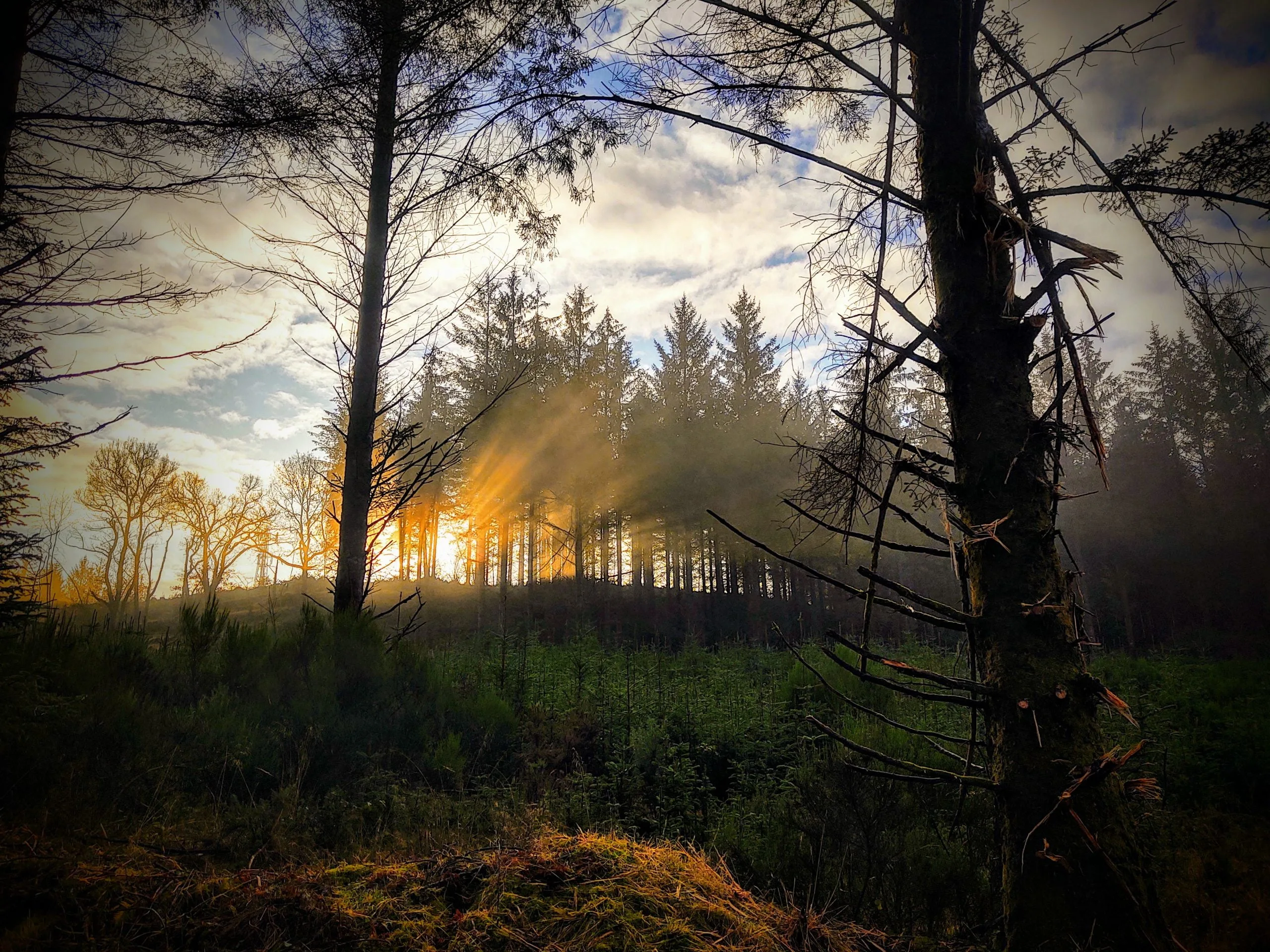 Why we’re taking the time out to rest, reflect and readjust to the “new normal”.