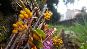 Lesson Idea - Fairy Houses