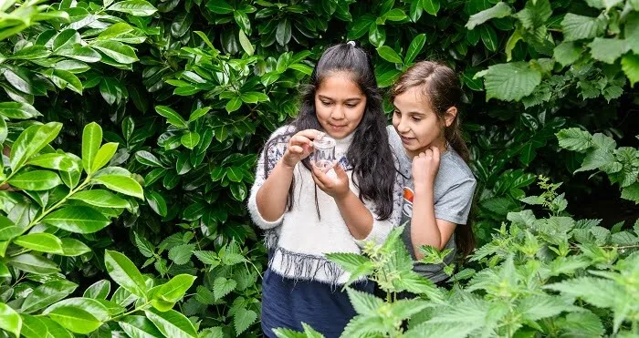 New environmental education measures: our response