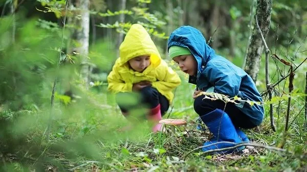 Comparing Forest Kindergarten and Forest School