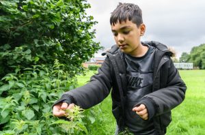 Finding your local greenspace for learning