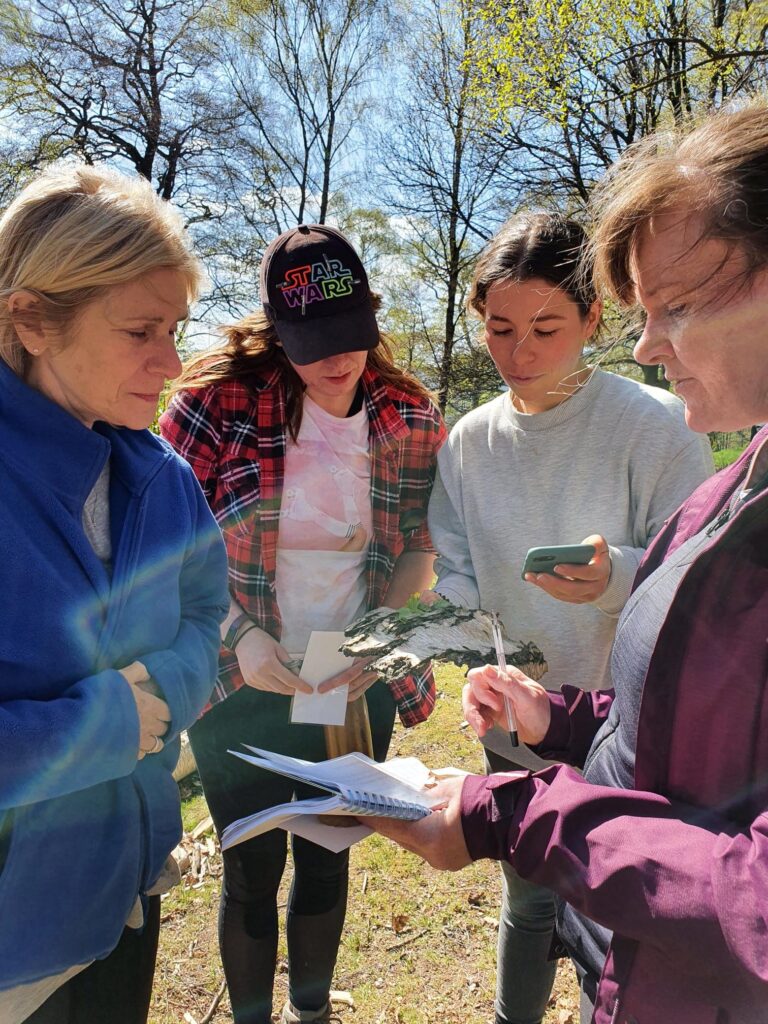 Feedback from our latest Forest Kindergarten training course