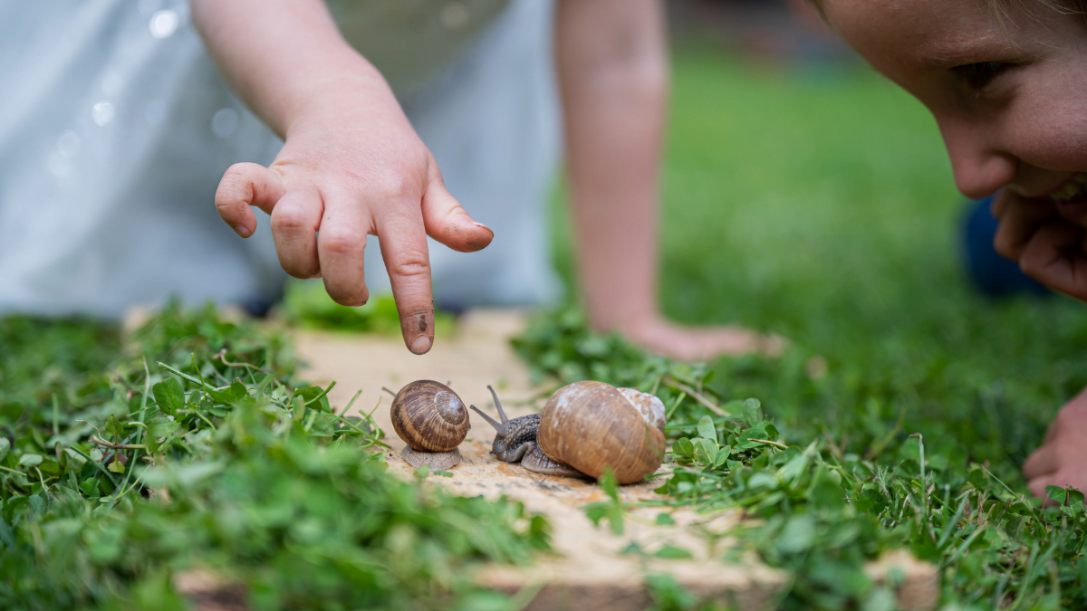 Two children examining snails on the grass with interest.