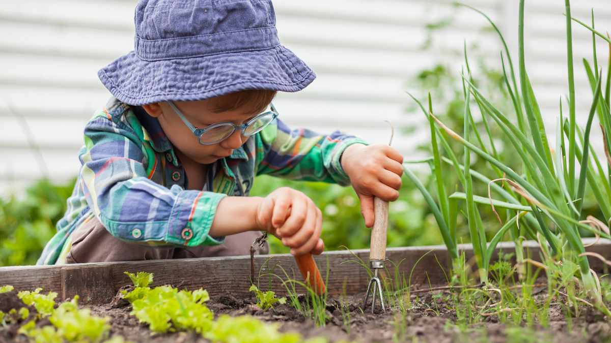 A young boy gardening at school in planters purchased using a Local School Nature Grant.