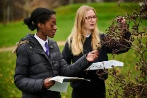 Beyond your Boundary - Learning in local greenspace