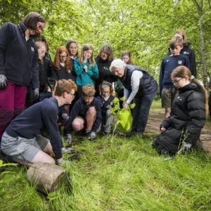 Scottish Junior Forester Award