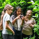 Wrapping up the school year and reflecting on wellbeing