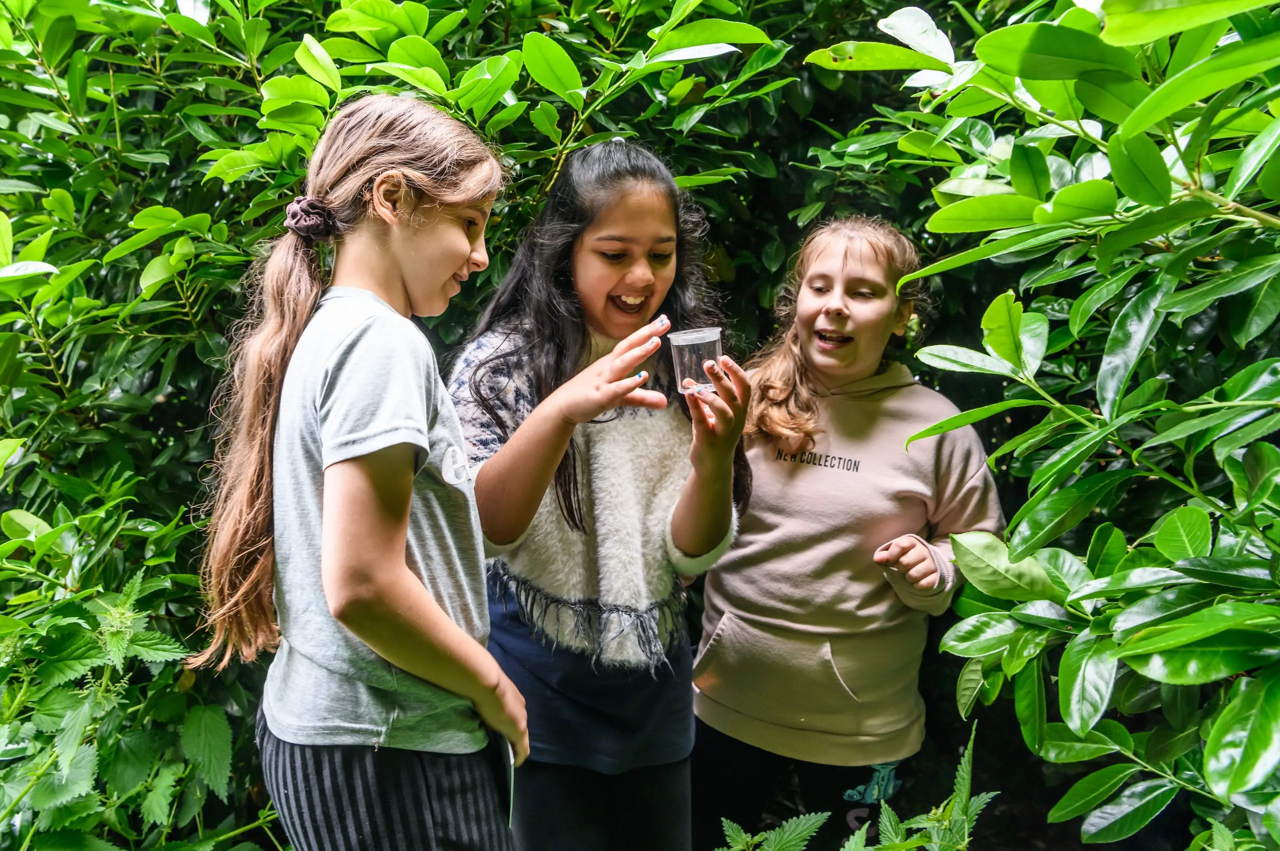 Wrapping up the school year and reflecting on wellbeing