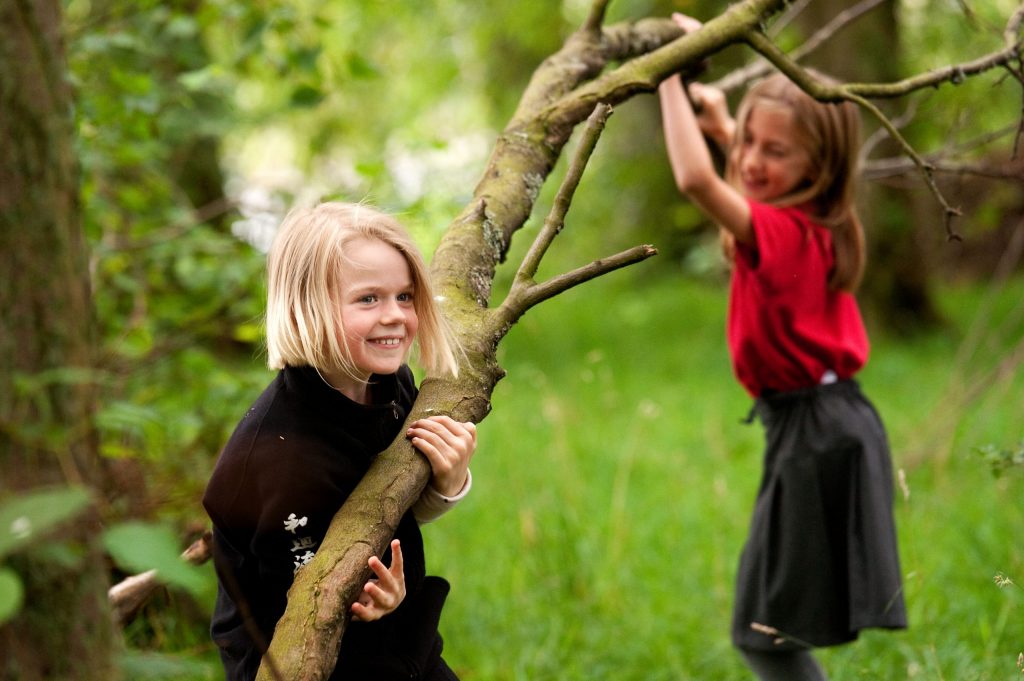 Branch play