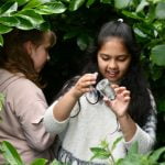 Two children examining an insect in a jar during an outdoor lesson on climate and sustainability.