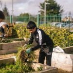 A young boy in a black track suit is holding green grass in his hands as he works with an adult on a raised planting bed.