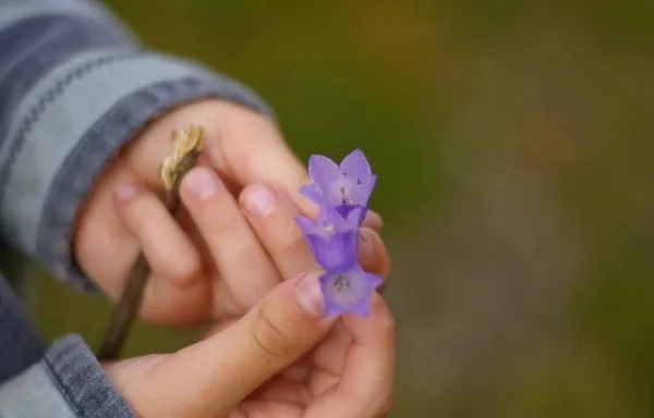 Our ‘Taking Literacy Outdoors: Early Years’ online training course is here