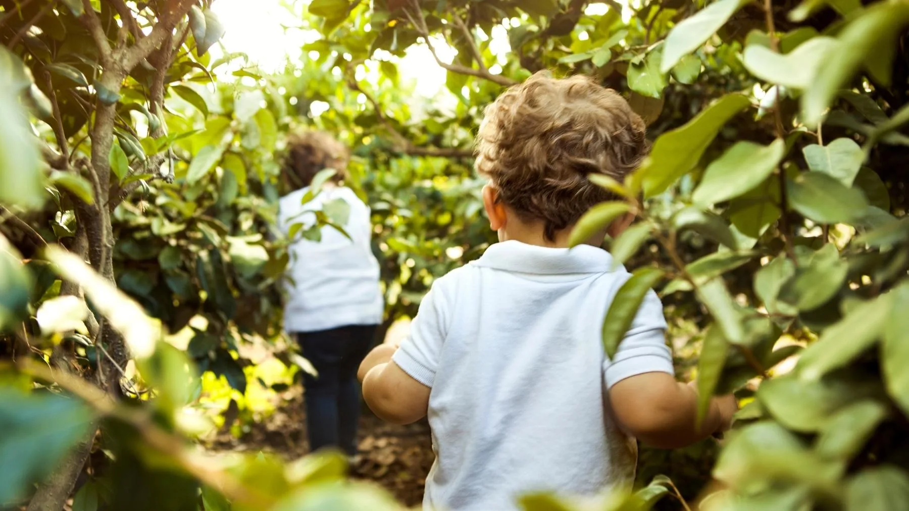 Forest Kindergarten Leader Course