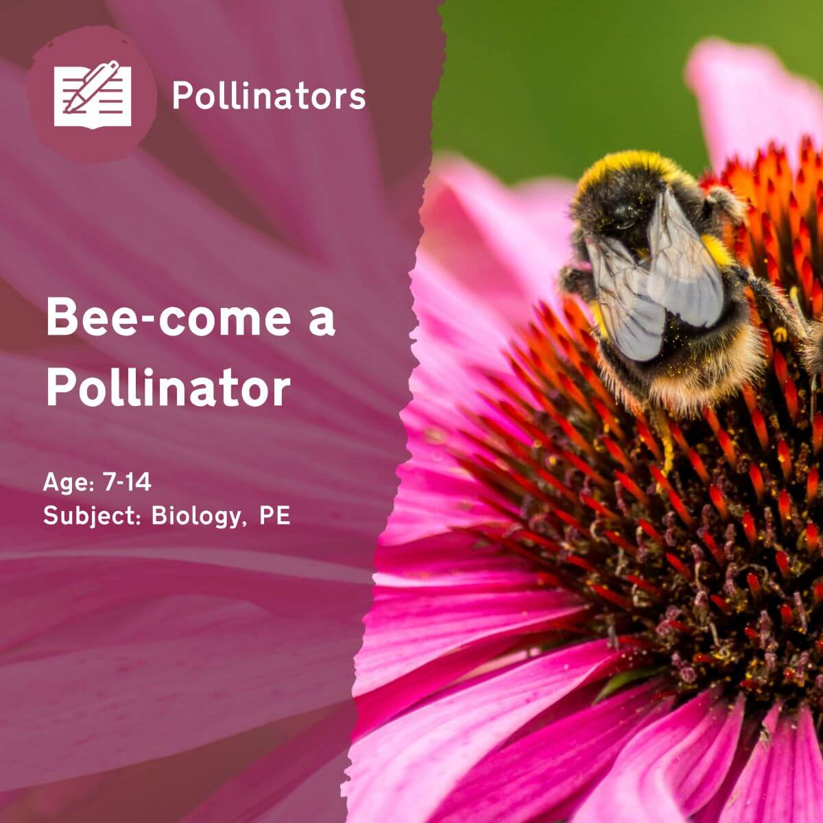 During the 'Bee-come a Pollinator' outdoor lesson idea, your pupils will become bumblebees and honeybees foraging for pollen! This active outdoor lesson will prompt pupils to think about how pollinators are different, and how they are adapted for their role.This outdoor lesson idea is in PDF format. When you click the 'download' button, the PDF file will be immediately downloaded to your designated folder — usually the 'Downloads' folder.
