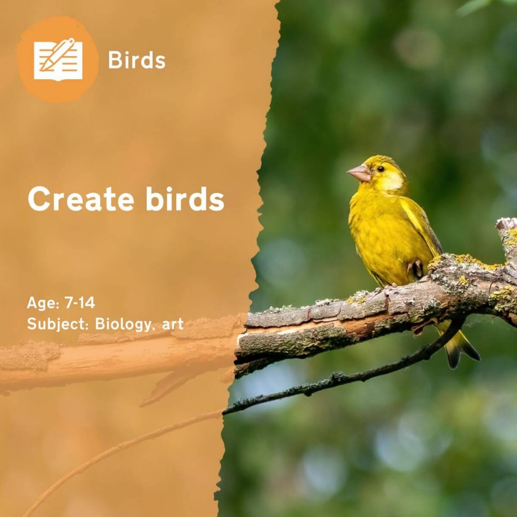 Create Birds | Outdoor Lesson Idea By Learning Through Landscapes