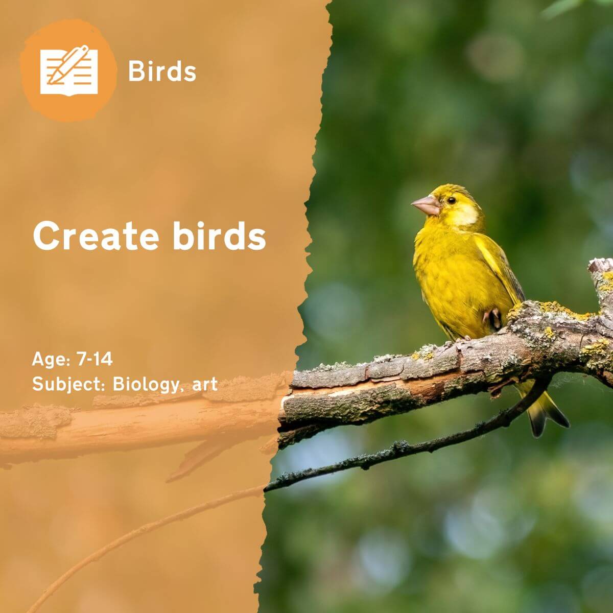 'Create Birds' is a simple but fun outdoor lesson idea where pupils use natural materials to create birds on the school grounds. How many different birds can they create?This outdoor lesson idea is in PDF format. When you click the 'download' button, the PDF file will be immediately downloaded to your designated folder — usually the 'Downloads' folder.