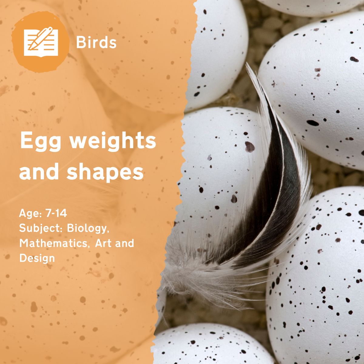 Discover the different shapes and weights of birds eggs and create replica models with your pupils.This outdoor lesson idea is in PDF format. When you click the 'download' button, the PDF file will be immediately downloaded to your designated folder — usually the 'Downloads' folder.