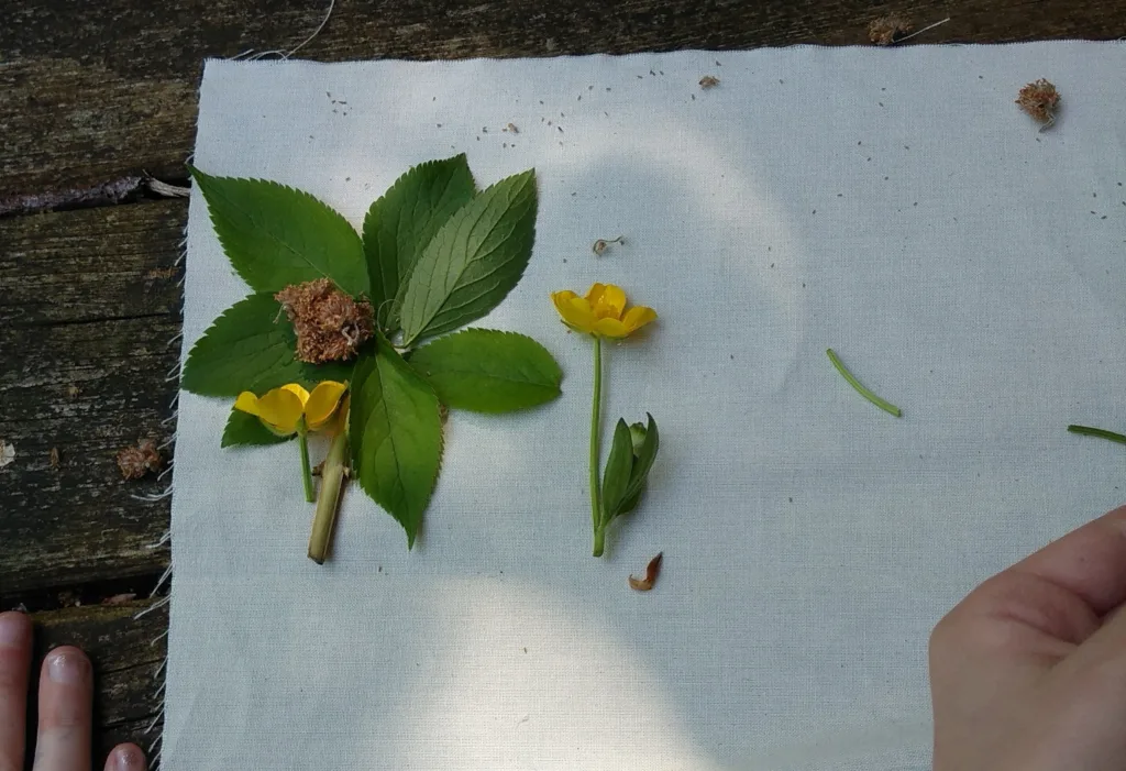 Naturally Creative Outdoors