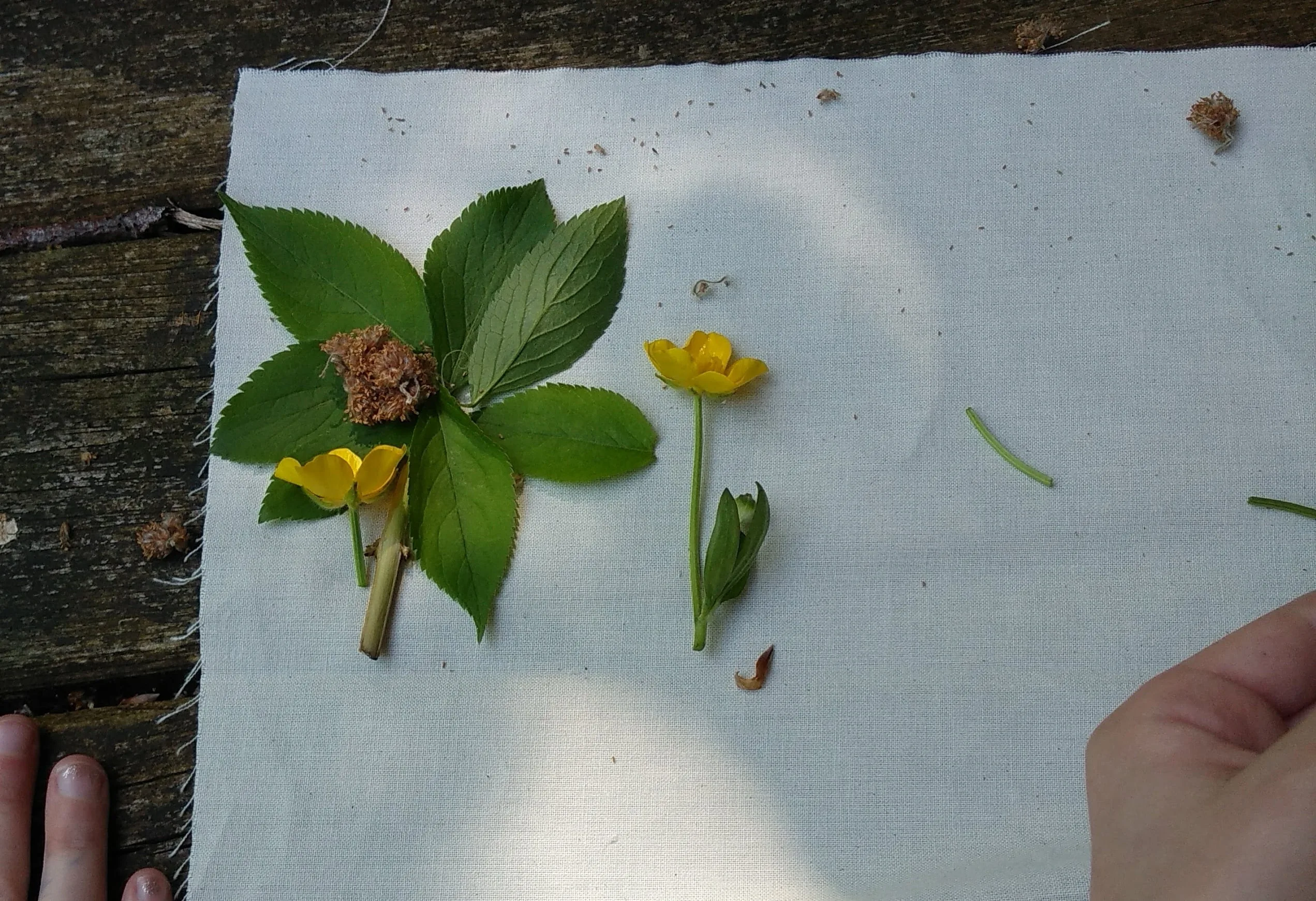 Naturally Creative Outdoors