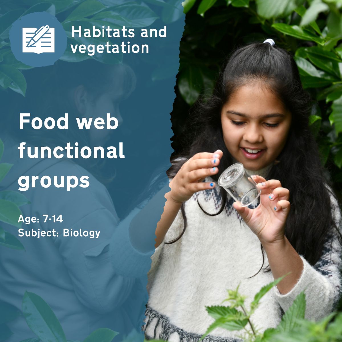 The 'Food Web Functional Groups' outdoor lesson idea is a fun activity that sees children acting as herbivores and carnivores in the school grounds! This one will get their hearts racing!This outdoor lesson idea is in PDF format. When you click the 'download' button, the PDF file will be immediately downloaded to your designated folder — usually the 'Downloads' folder.