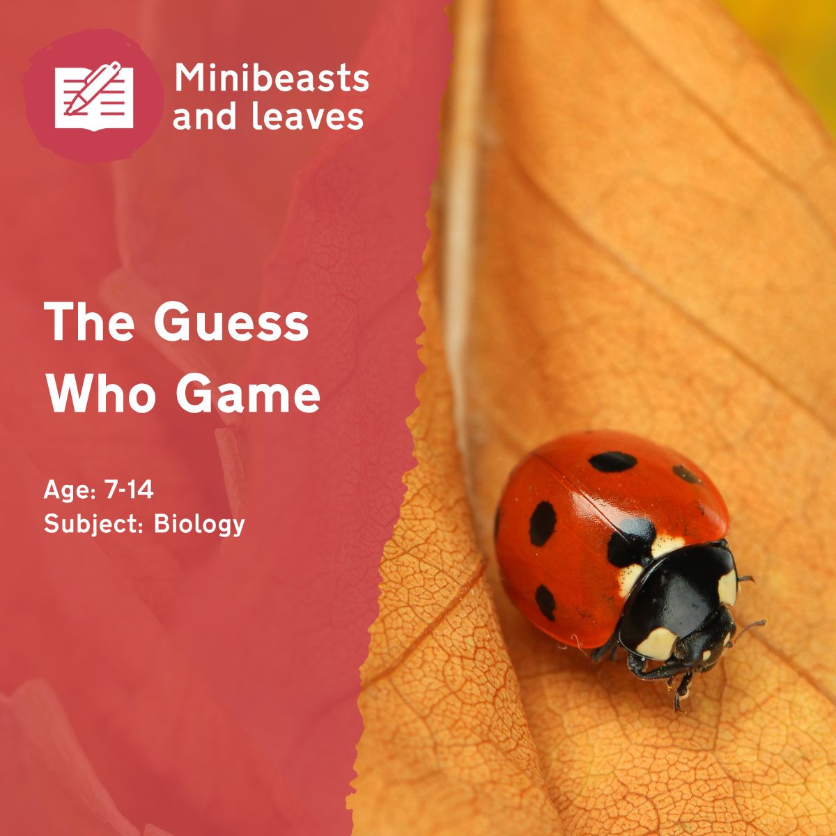 During the ‘Guess Who Game’ outdoor lesson idea, pupils will guess the minibeast species by asking yes-or-no questions based on different characteristics. This fun game will reveal which features stand out the most — what does this show?This outdoor lesson idea is in PDF format. When you click the 'download' button, the PDF file will be immediately downloaded to your designated folder — usually the 'Downloads' folder.