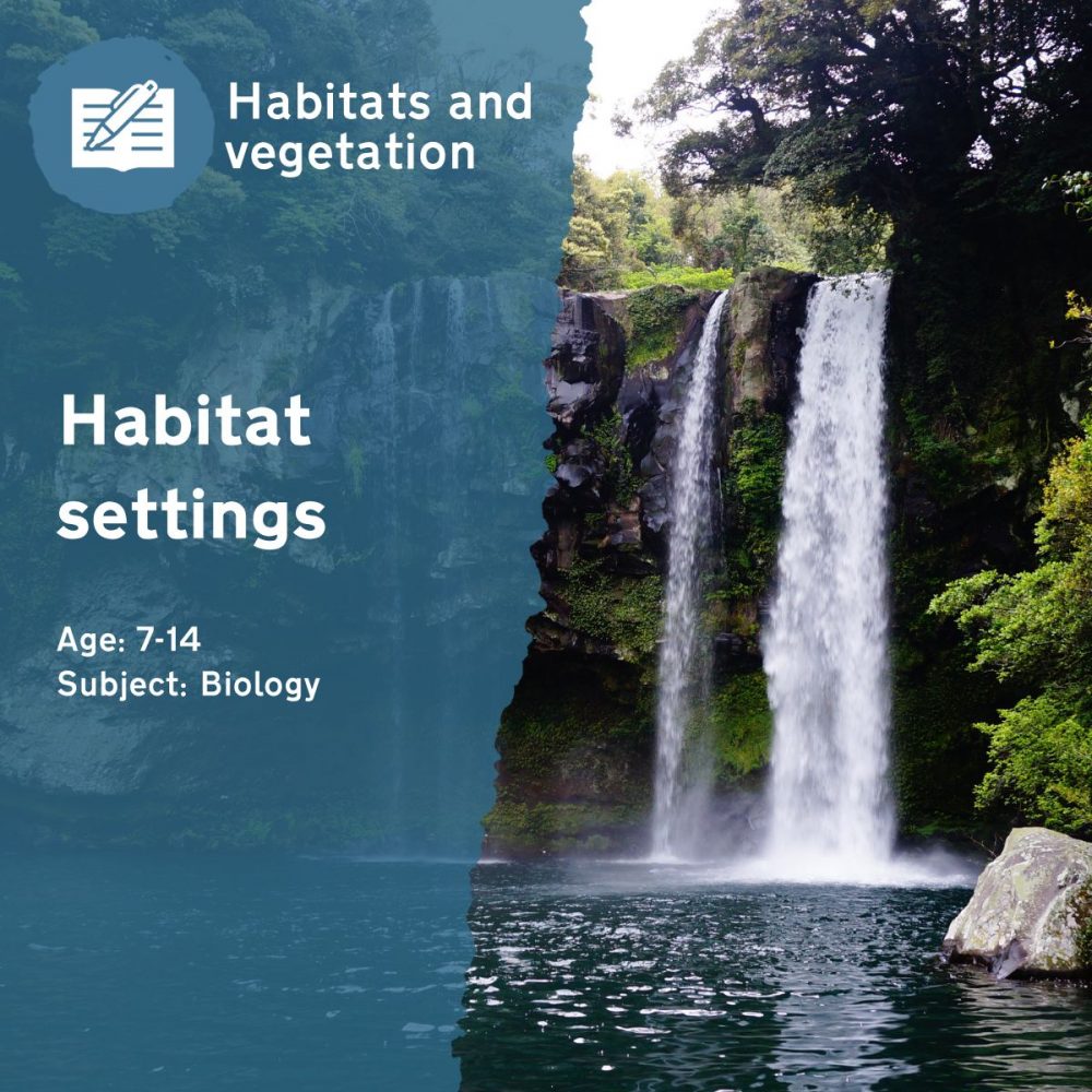 Habitat Settings Outdoor Lesson Idea by Learning through Landscapes