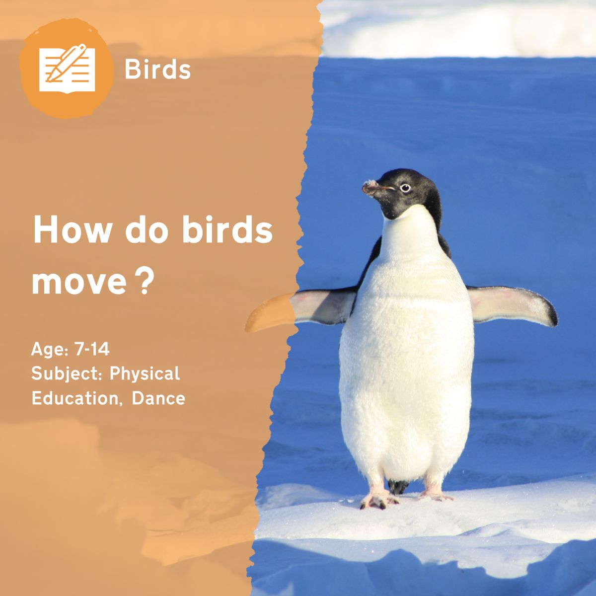 Birds move in many wonderful ways. Encourage pupils to hop, waddle and fly using this outdoor lesson idea!This outdoor lesson idea is in PDF format. When you click the 'download' button, the PDF file will be immediately downloaded to your designated folder — usually the 'Downloads' folder.