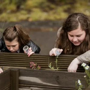 Invertebrate Investigations