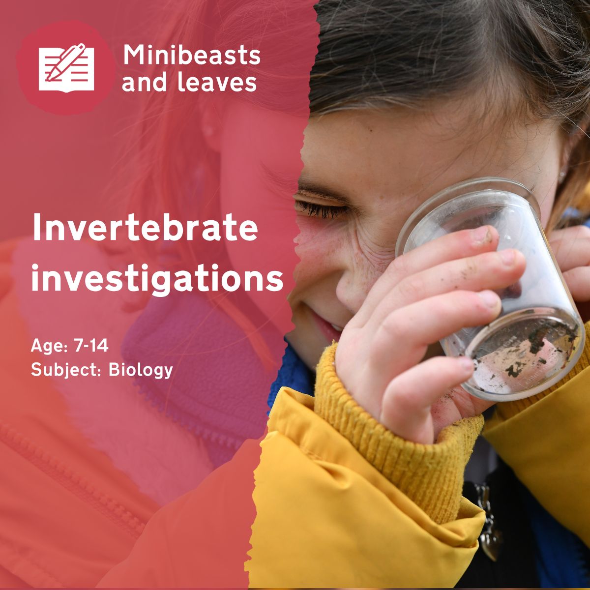The 'Invertebrate Investigations' outdoor lesson idea sees children asking questions about local invertebrates and planning investigations to find the answers.This outdoor lesson idea is in PDF format. When you click the 'download' button, the PDF file will be immediately downloaded to your designated folder — usually the 'Downloads' folder.