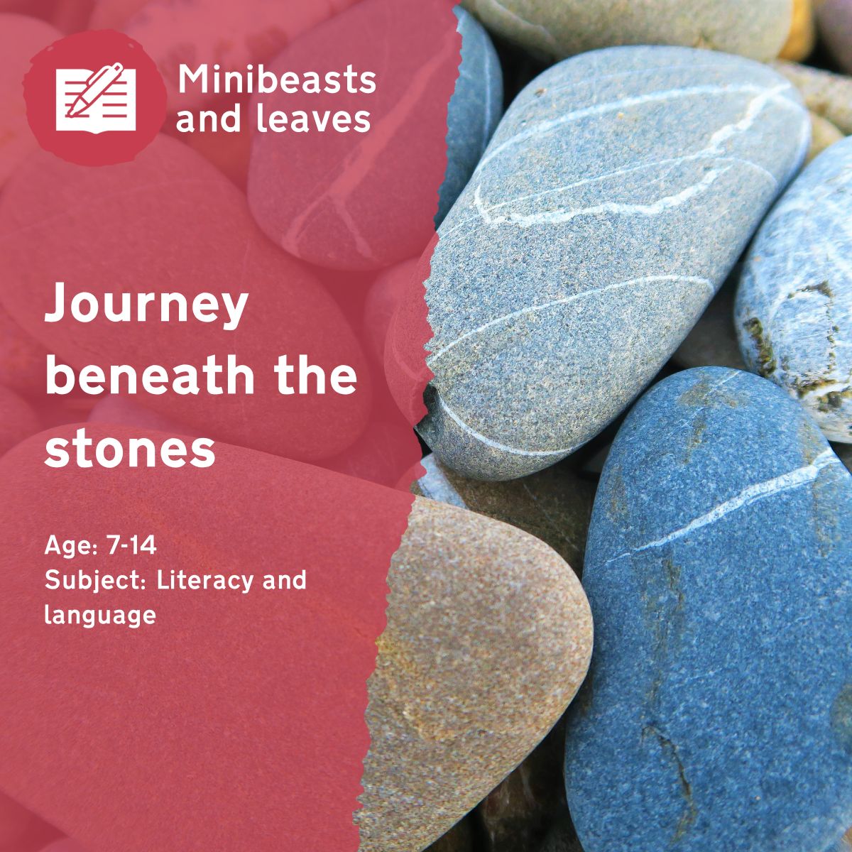 The ‘Journey Beneath the Stones’ outdoor lesson idea gives children the opportunity to use their imagination in creating a story based around the ecosystem living beneath the stones in their school grounds.This outdoor lesson idea is in PDF format. When you click the 'download' button, the PDF file will be immediately downloaded to your designated folder — usually the 'Downloads' folder.
