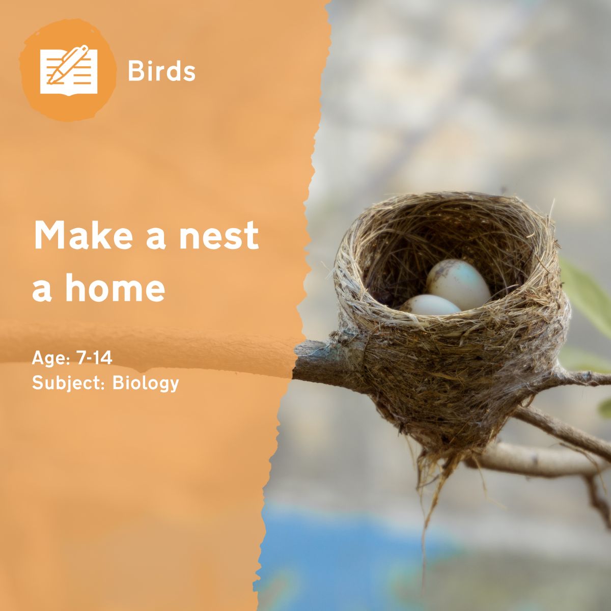 By asking pupils to create their own cosy nests, the 'Make a nest a home' outdoor lesson ideas asks children to consider why different bird species have different nest requirements, along with the advantages and disadvantages of each approach.This outdoor lesson idea is in PDF format. When you click the 'download' button, the PDF file will be immediately downloaded to your designated folder — usually the 'Downloads' folder.