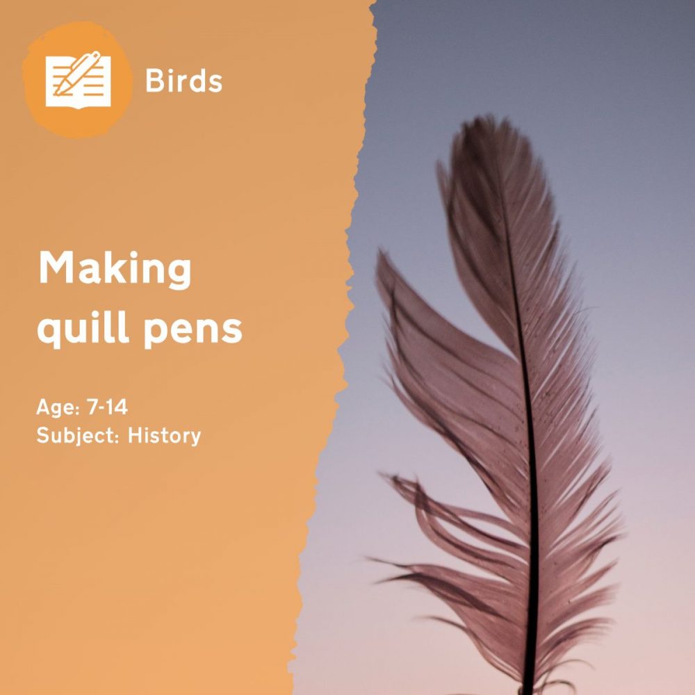 Making Quill Pens Outdoor Lesson Idea by Learning through Landscapes