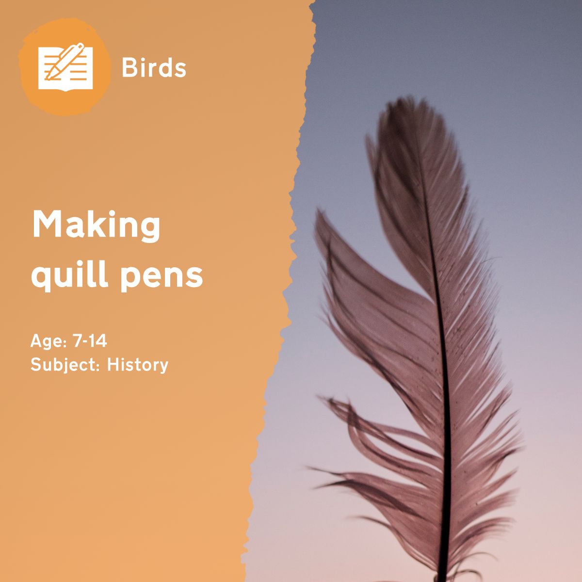 The 'Making Quill Pens' outdoor lesson helps children investigate the parts of a feather as well as engage with an older method of writing.This outdoor lesson idea is in PDF format. When you click the 'download' button, the PDF file will be immediately downloaded to your designated folder — usually the 'Downloads' folder.