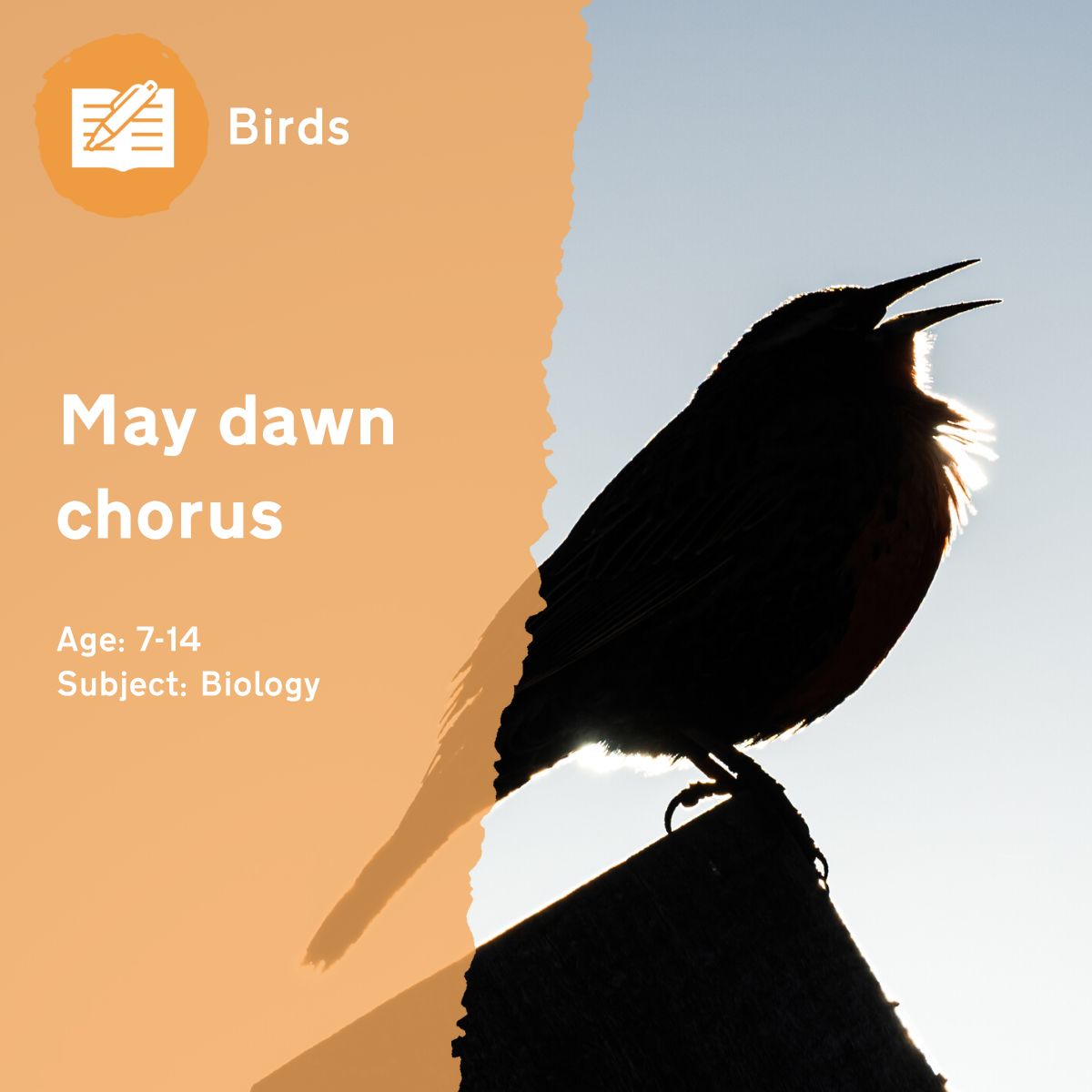 Have fun in your class trying to recognise and repeat different bird songs!This outdoor lesson idea is in PDF format. When you click the 'download' button, the PDF file will be immediately downloaded to your designated folder — usually the 'Downloads' folder.