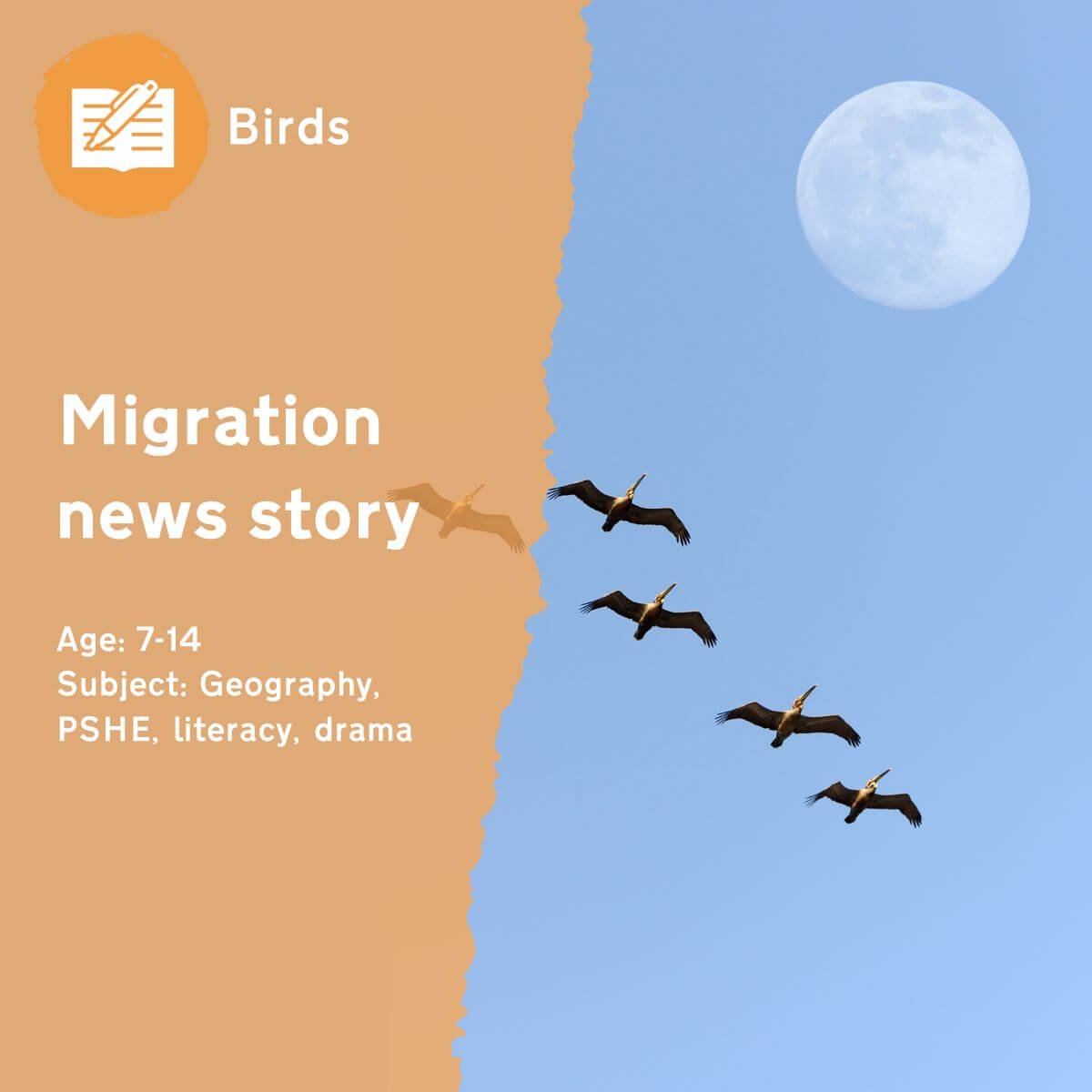 During our 'Migration News Story' outdoor lesson idea, your pupils will learn about seasonal migration in birds whilst discovering why a good news report is exciting but factual. This fun outdoor lesson idea can be used to support geographical knowledge and creative writing, but also works well as a drama exercise!This outdoor lesson idea is in PDF format. When you click the 'download' button, the PDF file will be immediately downloaded to your designated folder — usually the 'Downloads' folder.