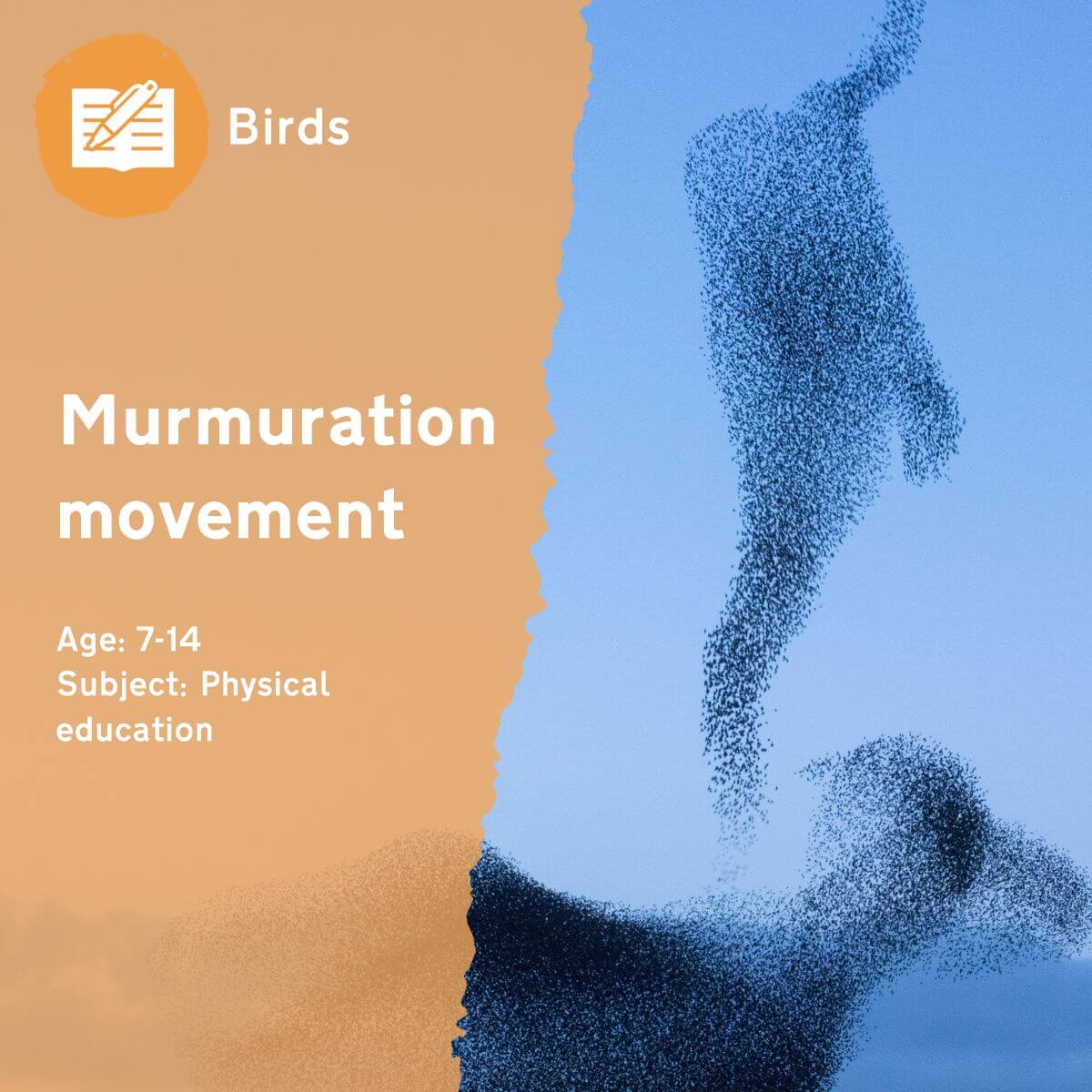 By asking your pupils to move in a murmuration across your school grounds, the 'Murmuration Movement' outdoor lesson idea encourages children to think about the different ways animals adapt to their habitats. Try moving in different sized groups and at different speeds — how does that change things?This outdoor lesson idea is in PDF format. When you click the 'download' button, the PDF file will be immediately downloaded to your designated folder — usually the 'Downloads' folder.