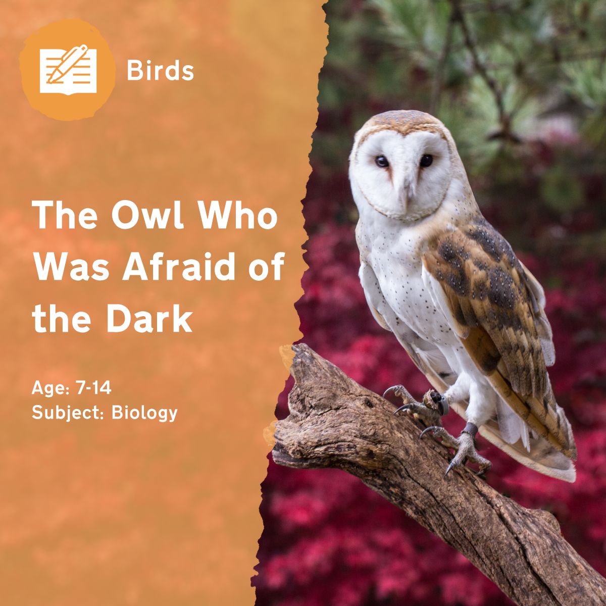 Using the book, 'The Owl Who Was Afraid of the Dark' by Jill Tomlinson, this outdoor lesson idea encourages children to think about why animals are awake at different times of day. This activity also serves as a helpful springboard for discussing fears with your class.This outdoor lesson idea is in PDF format. When you click the 'download' button, the PDF file will be immediately downloaded to your designated folder — usually the 'Downloads' folder.
