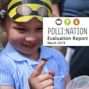 Polli:Nation Project - Summary Report and Short Guide